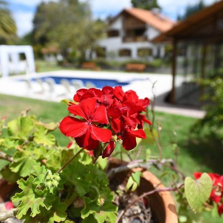 Quinta La Constanza Hotel Tababela Bagian luar foto
